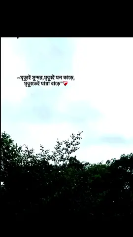 #foryou #foryoupage 