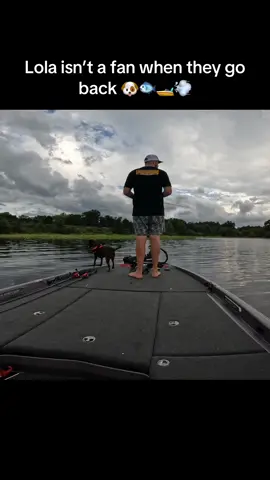 @Tiktok dogs 🐕❤️ @DogsOf TikTok  #fyp #fishing #viral #dogsoftiktok #pet 