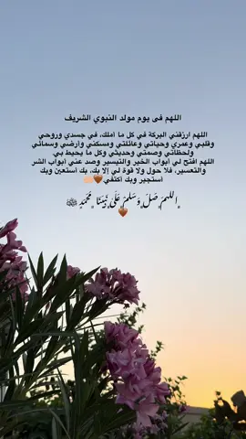 #اللهم_امين #یارب_العالمیــــــــــن🤲🏻🥺 #المولد_النبوي_الشريف_صلوا_على_النبي 🤎🤲🏼
