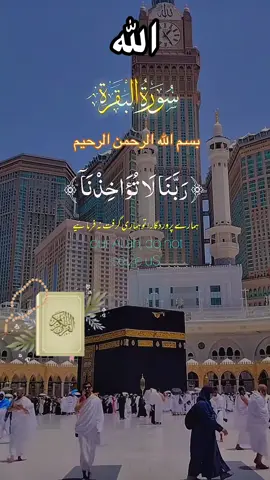 #CapCut #القران_الكريم #albaqarah #beautifulrecitation❤️🤲🥰 #viralvideo🔥🔥🔥 