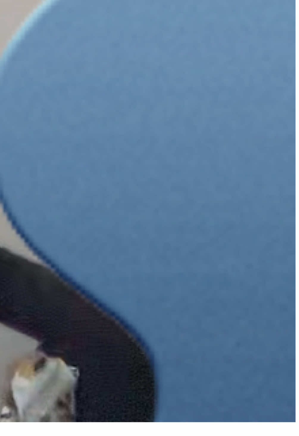 No quería q grabe tiktoks JAKSKA