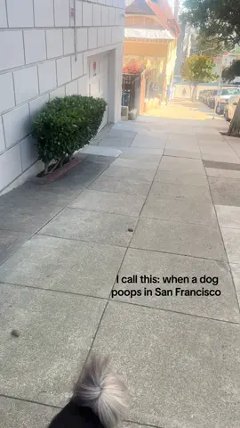 Calm downnnn, I picked it up