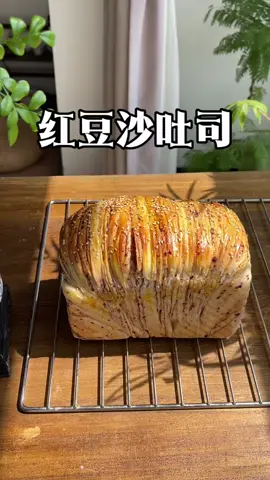 没有厨师机｜十年前的小破烤箱｜手揉吐司 你敢信这是手揉的吐司？新手小白第一次复刻红豆沙吐司，成就感满满#烘焙  #烘焙