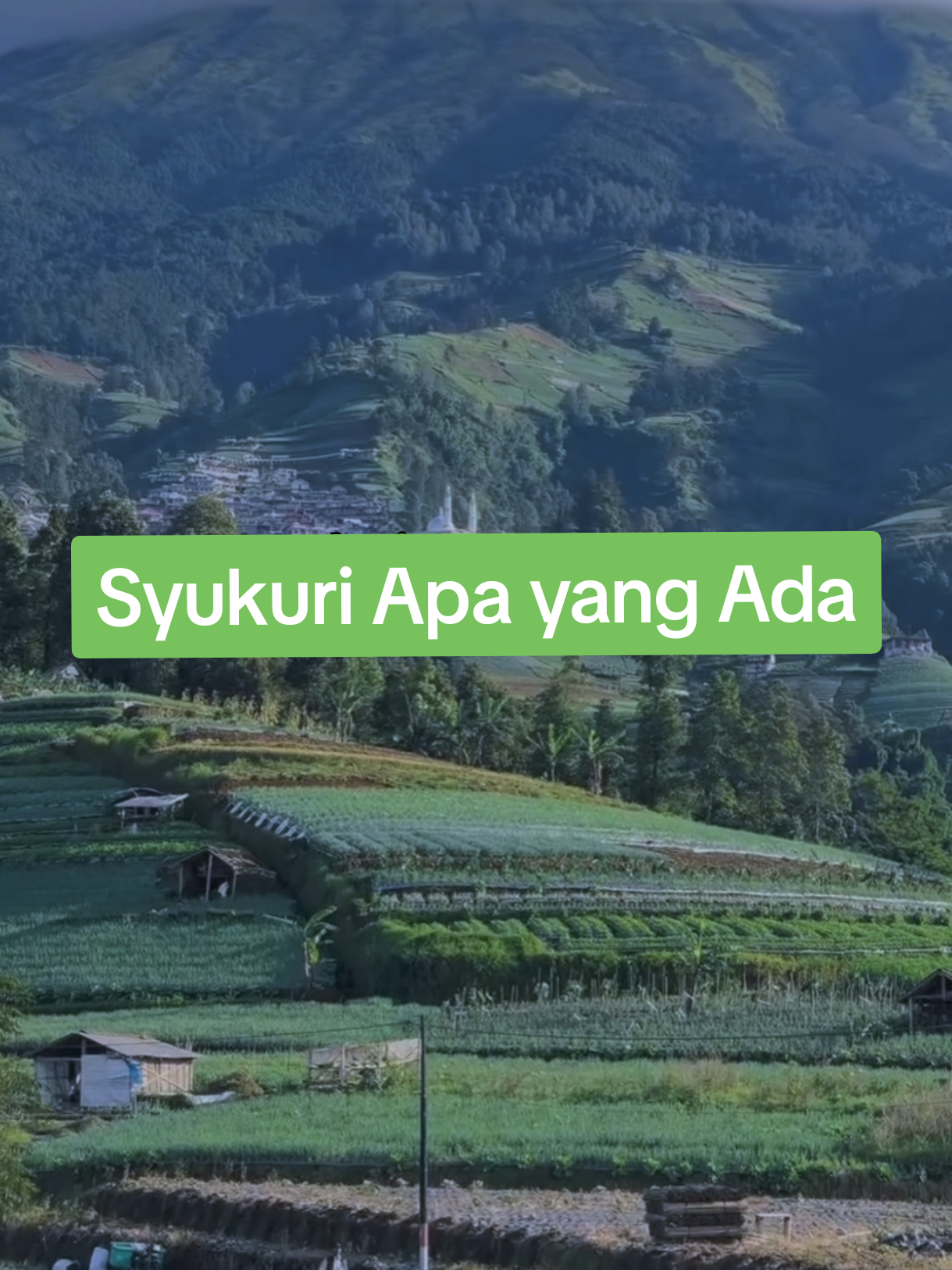 ✍️ Syukuri apa yang ada #syukuriapayangada  #syukur  #ustadirfanrizkihaas  #dakwah 