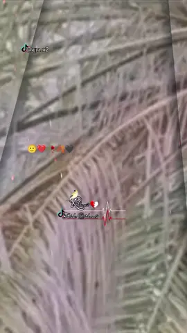 fana karne wale dua daite ache nhi lagte#account #growup #vedio #foryoupage #fyp 