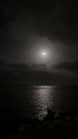 #هواجيس_لانهائية #اكسبلور 