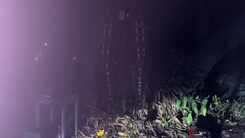 Nosey Forest Introduction No. 1 #Nosey #CITRA #welding #animatronic #rabbitpie 