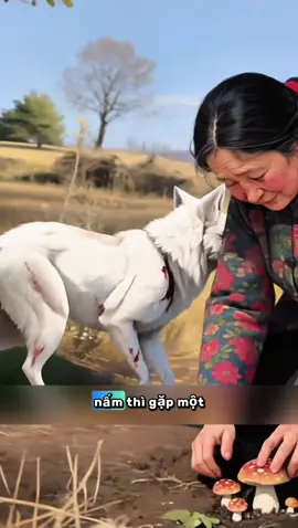 Lẻ tham lam luôn gặp cái kết đắng#ketruyen #fyp #xh #truyencotich 