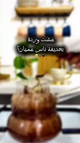عشت وردة بحديقة ناس عميان؟  