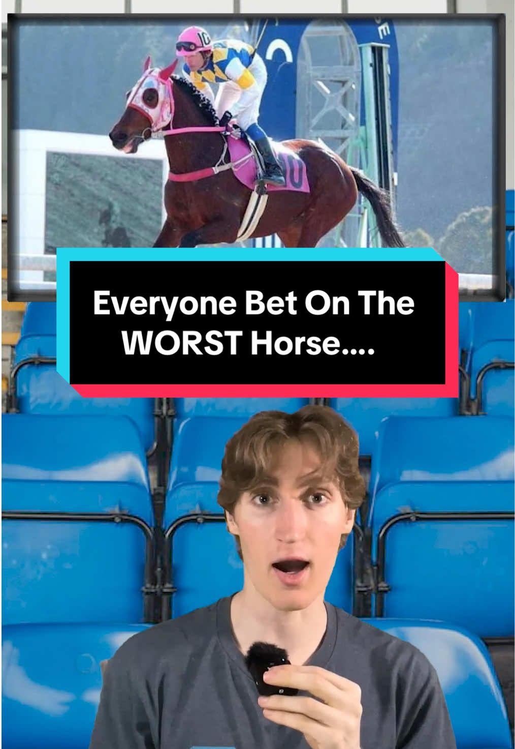 W horse #truestory #storytelling #storytime #fypage #facts #truefacts #wholesome 