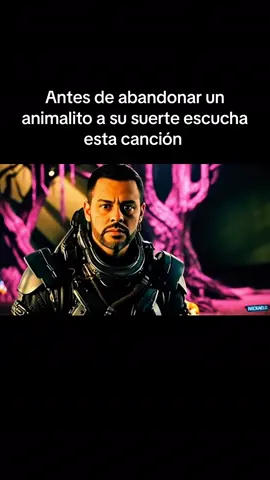 Si tú fueras un gato? Lo harías igual? #nickaelo 