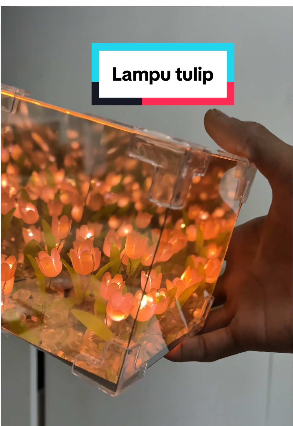 Lampu tulip bunga aeshtetik bagus #lamputulip #lampu #lampupajangan #bunga #tulip 