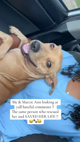 lol I hope you know we don’t care. From the time I seen Marcie Ann to now I’ve been making her feel loved let’s not forget ME (KASSIE) saved her life !! She would have laid out there and died. So please know I’m laughing at the hateful comments and blocking you. I’m doing what’s best for ME & MARCIE ANN. Now GN 🩷😘  #viral #dogsoftiktok #dogs #fyp #rescuedog 