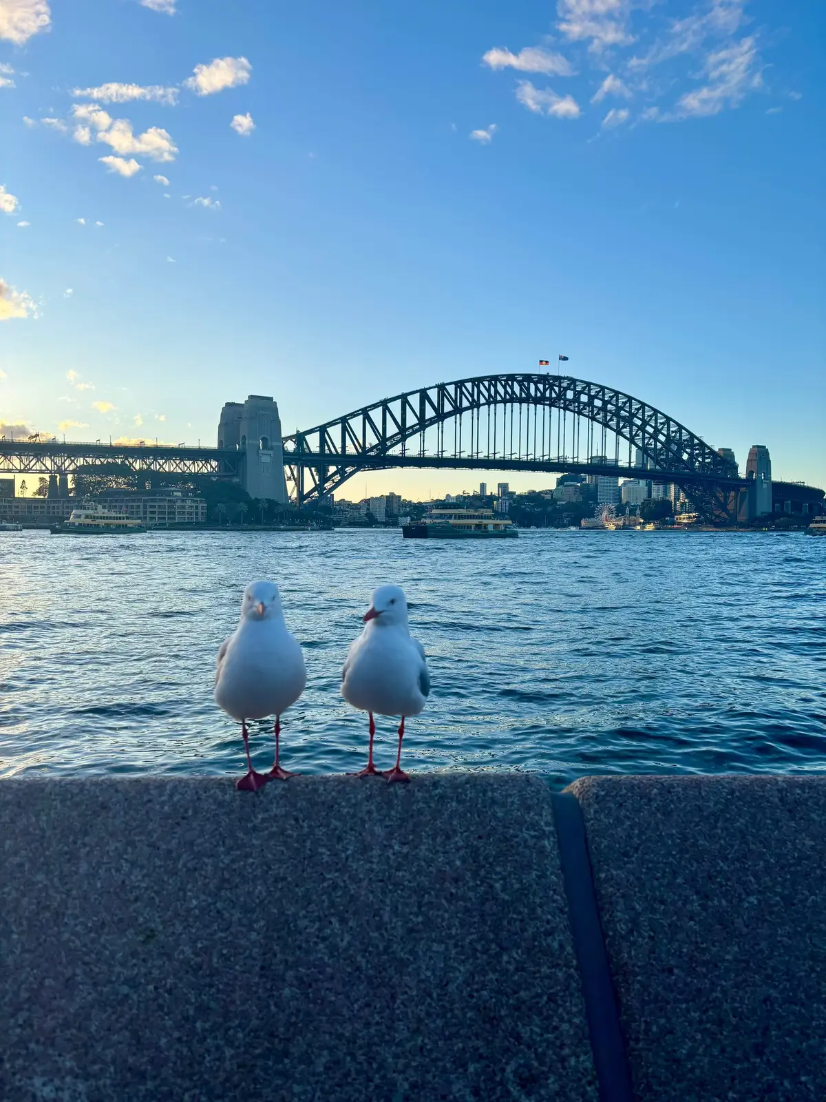 Spring is here, so it’s only fair to wrap up the highlight’s from another glorious Sydney winter! Good food, costal walks and a few delicious beverages 🍸🌞 #sydneyaustralia #sydneylife #sydneyfood #sydneyharbour #australia 