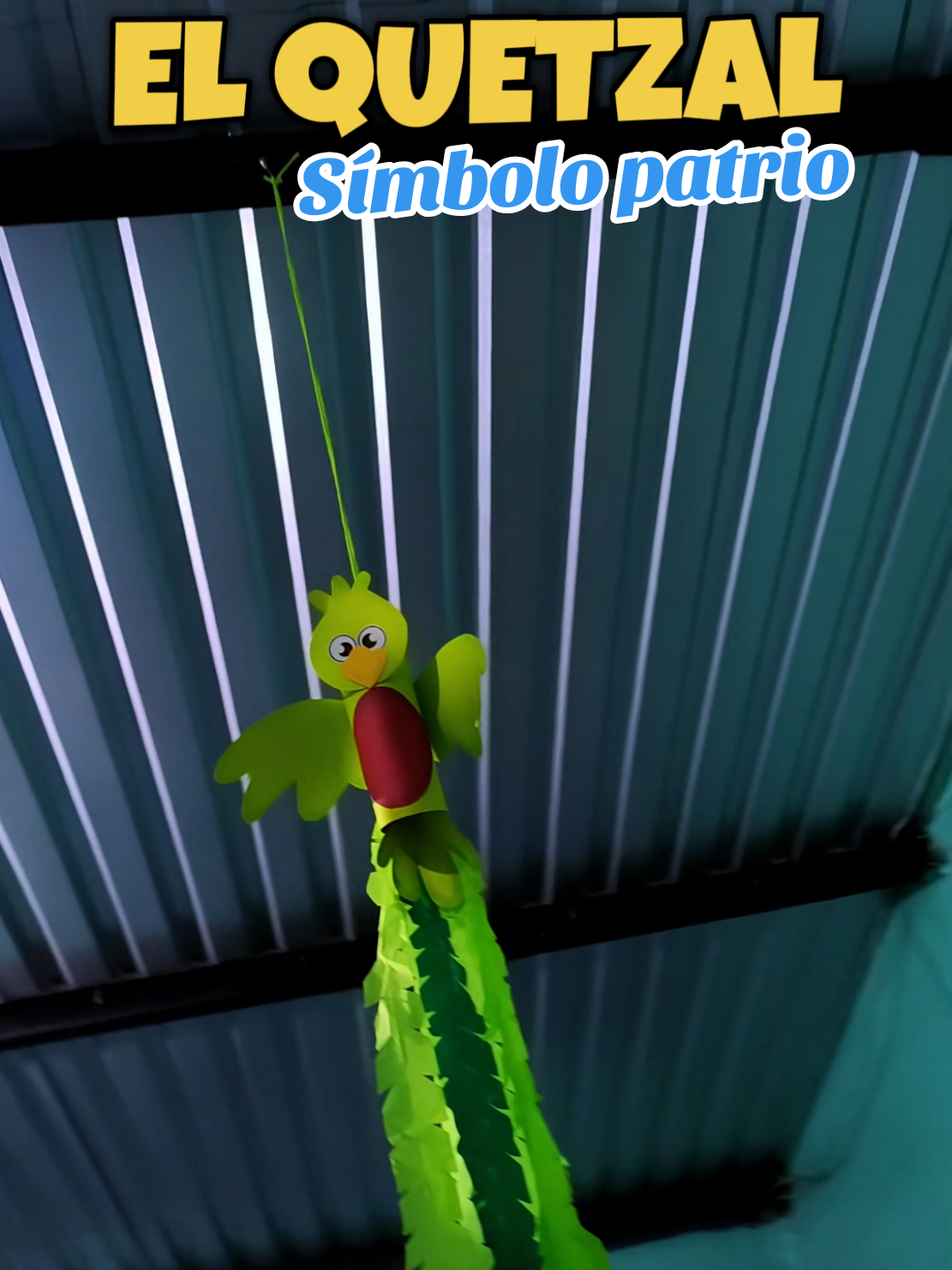 Manualidad fácil de realizar, fiestas patrias, el quetzal #paratiiiiiiiiiiiiiiiiiiiiiiiiiiiiiii  #fiestaspatrias  #manualidades #yoaprendoentiktok 