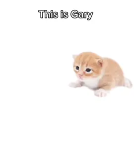 Gary got a heart bigger than his size ❤️‍🩹 #zzz #zhuyuan #belle #cosplay #cosplayer 