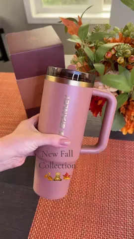 #StanleyCup  fall season, fall collection grab 🍂🧸✨🤎 Stanley Cup Mocha Latte #fyp #fallcollection #stanley #foryou