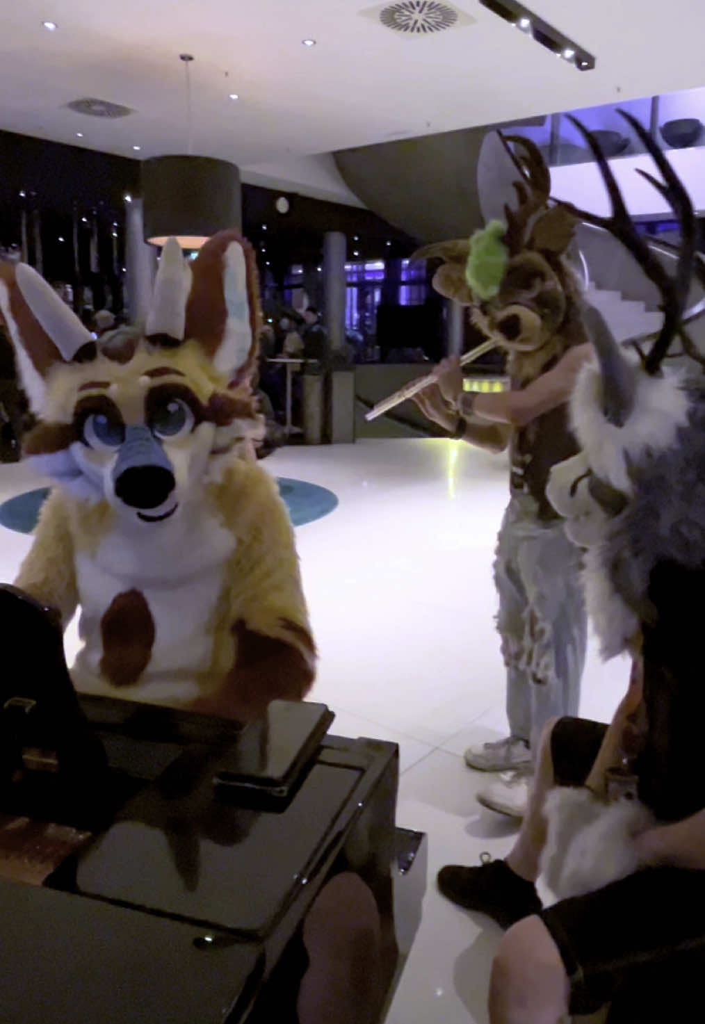 Little jam session at Eurofurence in Hamburg! Did you enjoy it? Should we play again? 🦊🐉😇  @The_Deer_Seishin 🦌🪈  @ Daphur 🦌🥁  #furry #furries #furryfandom #fursuiter #fursuiters #fursuiting #eurofurence #fox #furrytiktok #furrycommunity 