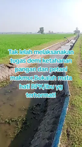 #Bpk Prabowo presiden #PUSDA#BKD#Kementrian#Bu Khofifah gubernur.