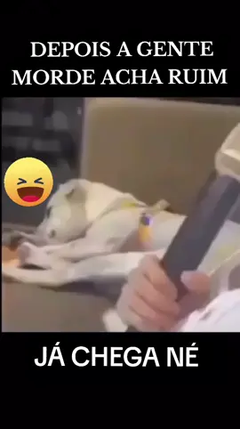 #dogincomodadocomcantoria 