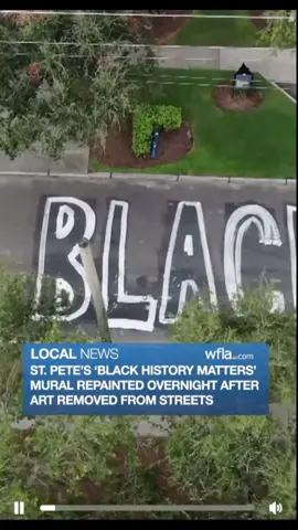 Black History Matters #fyp #resistance #blackhistorymatters 