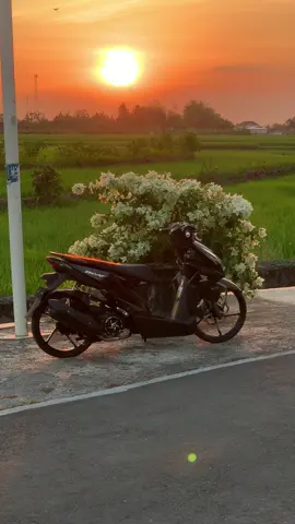 😫🫰🏻#beatmodifikasi #beatdeluxe #4u #fyp 