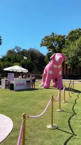 @VSPINK popup on my way to econ class! Only at USC😇😇 #usc #college #universityofsoutherncalifornia