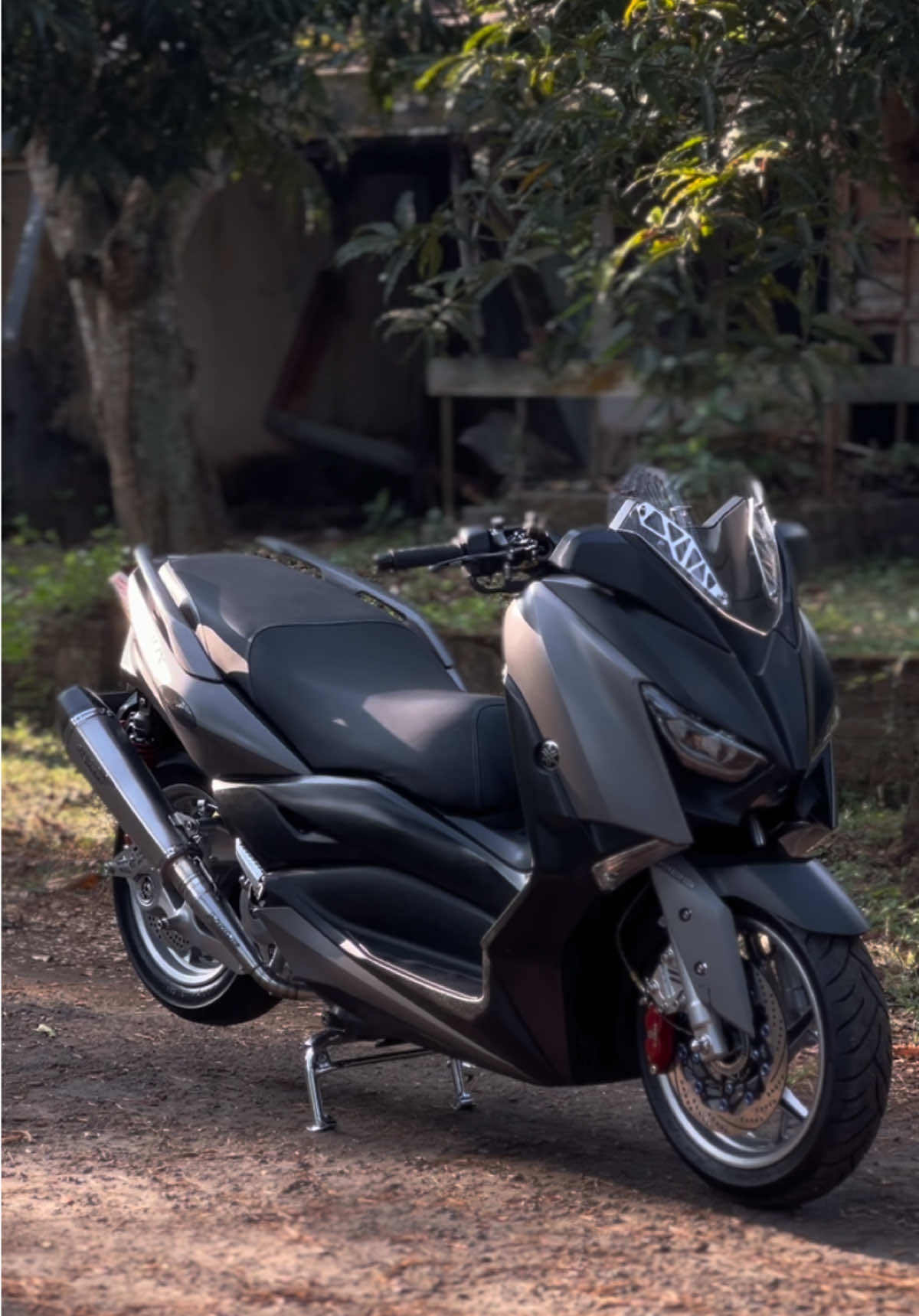 Kebo morning person 🇹🇭#promoseruweekend #xmaxดิว่ะ #xmax300thailand #thailand🇹🇭 #xmaxindonesia 