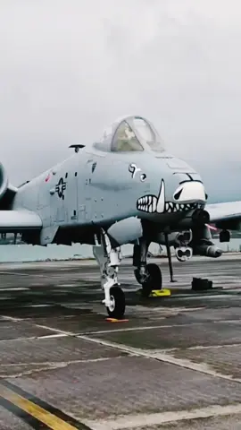 A-10 Thunderbolt II 