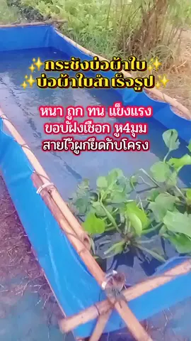 #กระชังบ่อผ้าใบ #บ่อผ้าใบสําเร็จรูป #ใช้ดีบอกต่อค่ะ #เทรนวันนี้ในtiktok #ฟีดดดシ 