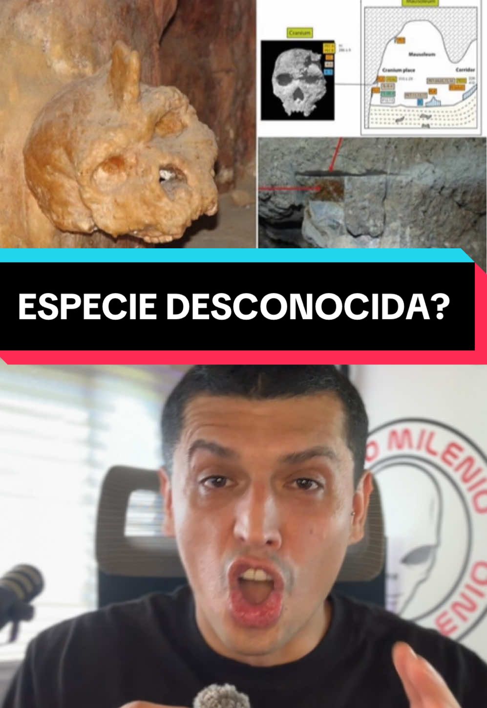 EL CRANEO DE PETRALONA  #nuevomilenio 