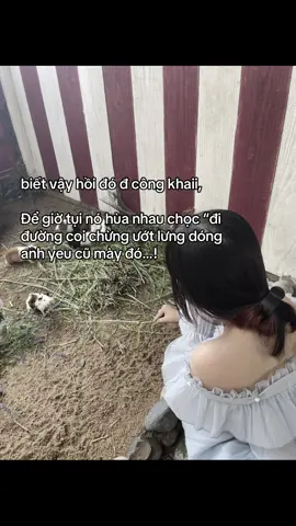 nhai quài cho t#xuhuonggg 