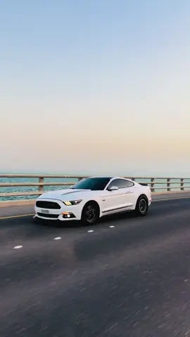 White Lightning 🤍🐼                                                          ٠                                              #mustang #coyote #fypシ #twinturbo 