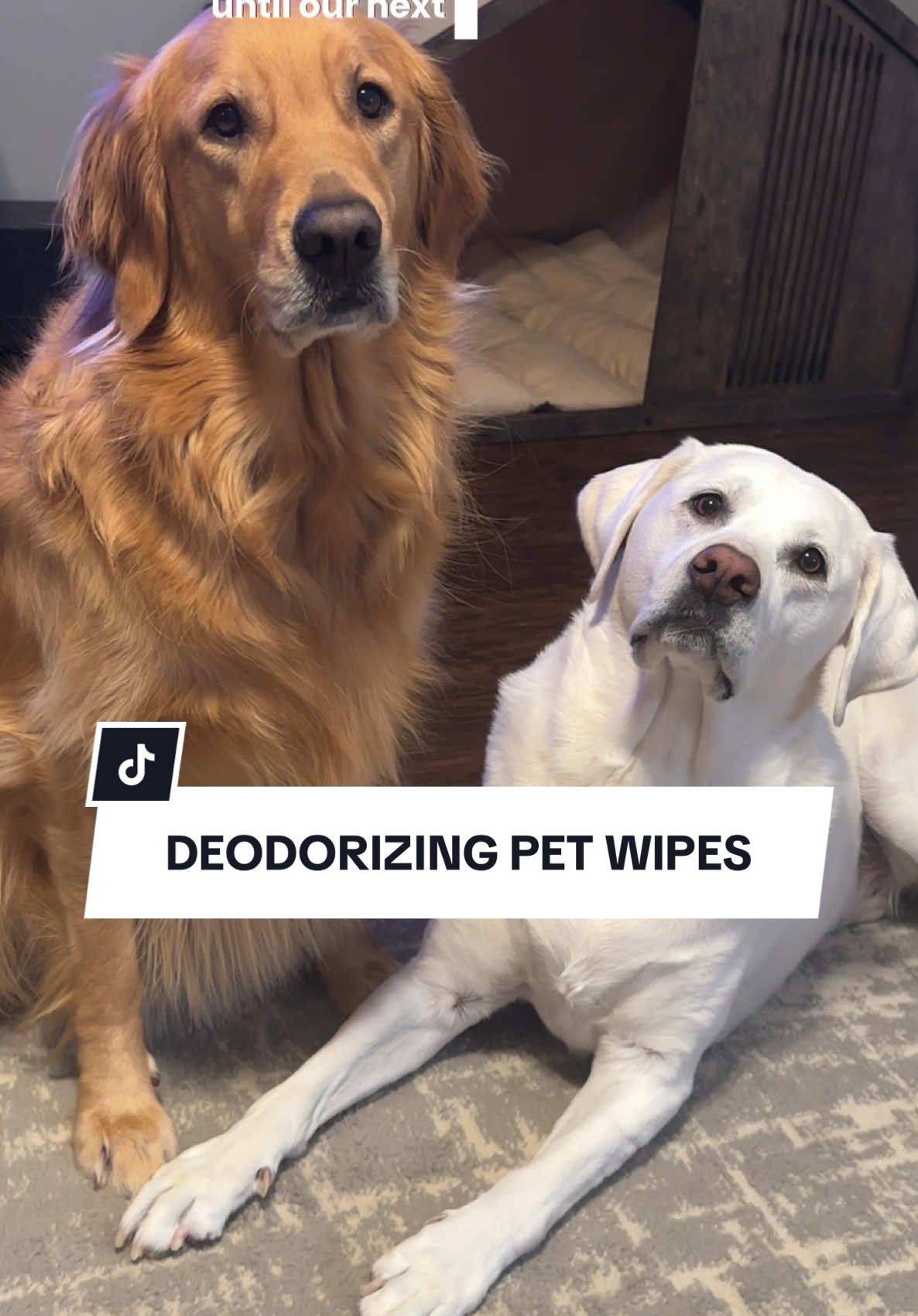 Clean dogs = happy mom 💛 #petcleaning #petproducts #dogmomsoftiktok #doggrooming 