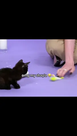 #jennaortega #vaiprofycaramba #multifandom #emmamyers #kitty 