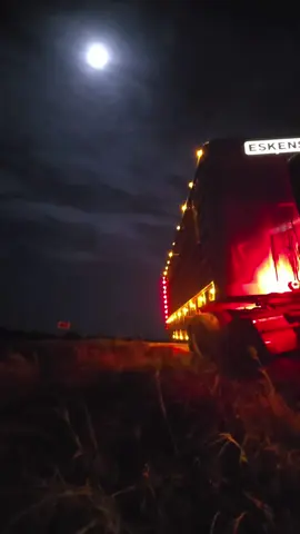 when the road stops roading 😂 #peterbilt #funbus #oops #throwback 
