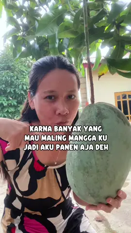 Karna banyak yang mau maling, jdi kita panen aja hehehhee #fypシ゚viral #adayinmylife #thesadaily 