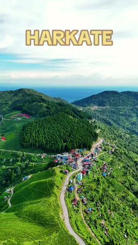 Harkate Ilam ❤️ #creatorsearchinsights #drone #dronevideo #viral #foryoupage 