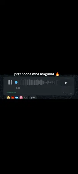@Vitta MUSIC 🐉 🧪 #viral #HUMOR #vittaclips #ponmeenparati #nicaragua🇳🇮 