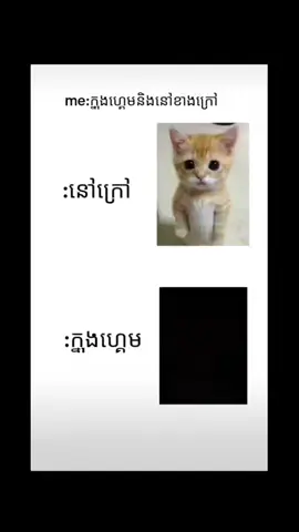 #duet with @🥴 #ជីវិតក្នុងហ្គេមនឹងជីវិតខាងក្រាវ😑