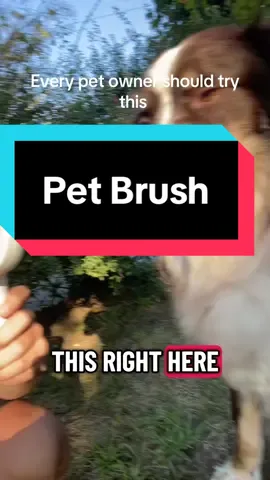 #petbrush #dogsoftiktok 