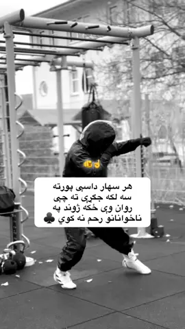 #👑آمیر #پکتیاوال_یم_جناب🇦🇫🌾 #پښتون_د_افغانستان_یم🇦🇫 