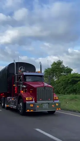 ❤️📸@Milton_truck.049 @GR SAS  #kenwortht800 #❤️ #paratiiiiiiiiiiiiiiiiiiiiiiiiiiiiiii #viral_video 