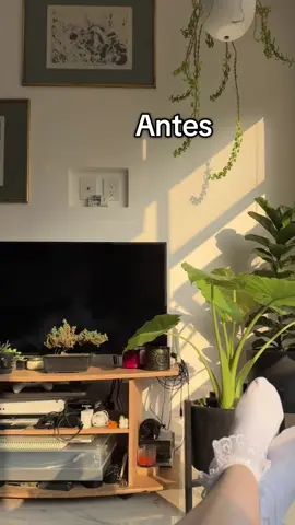 Mi novio y yo armamos nuestro propio mueble desde 0, con 0 expectativas y quedamos impactados 😍 @Alvaro Cristóbal  #couplegoals #doityourself 