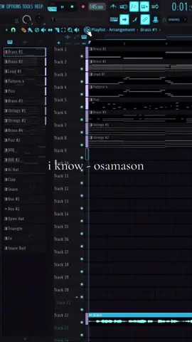 I knoooooowwwww you know #fyp #music #undergroundmusic #osamason 