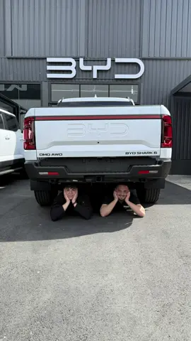 Everybody wants a BYD ⚡️ #byd #bydshark #fyp #viral 