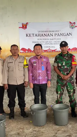 Ketahanan Pangan 20% Dari Dana Desa Pekon Batu Api Dengan Jenis Usaha Budidaya Ikan Lele Hari Ini di Resmikan #ketahananpangan #danadesa @Parosil Mabsus @Mediansah Lamka 