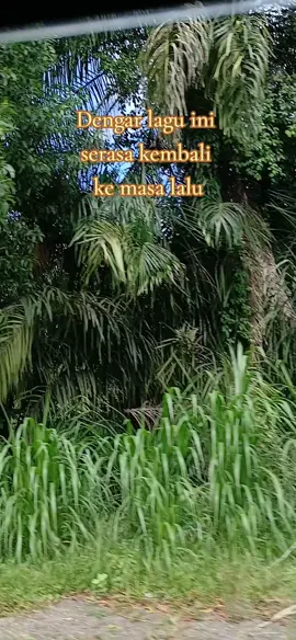 Mengenang masa lalu...#nasidaria #kenangan #nostalgia 