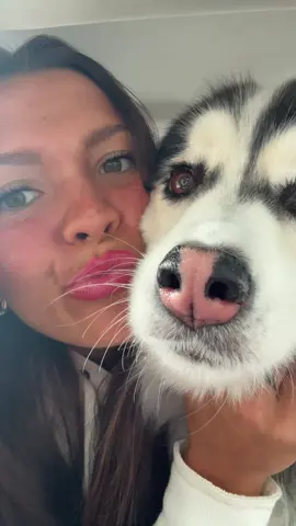 i love my dogs