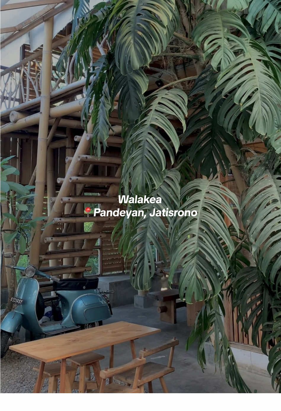 dengan desain menggunakan mayoritas nuansa kayu dan bambu dengan sentuhan nature membuat suasana jadi adem dan tenang 🍵 berada di dalam sebuah gang bikin tempat ini benar - benar hidden gem coffee shop di pedesaan, dengan konsep sebagai cafe rumahan yang hangat dan syahdu sehingga nyaman untuk singgah berlama - lama 🍃 nama tempatnya 📍@Walakea.id  satu lagi rekomendasi tempat dari aku untuk kalian!🙌🏻 #coffeetiktok #jatisrono24jam #wonogiri24jam #coffeeshop #coffeetime 